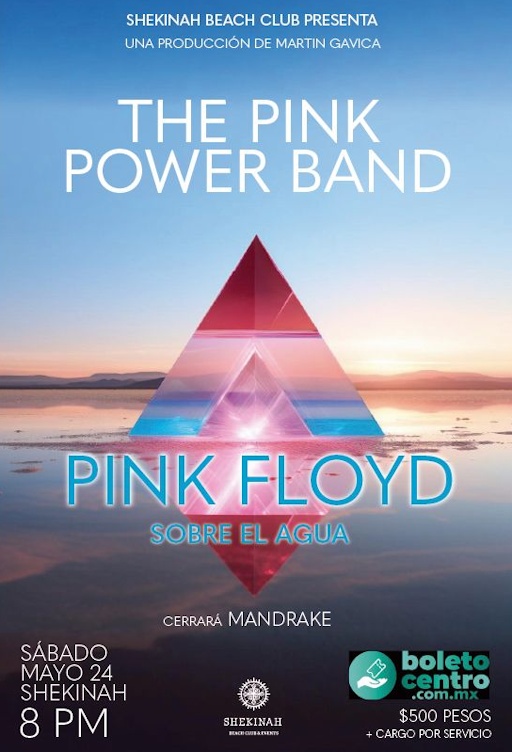 THE PINK POWER BAND