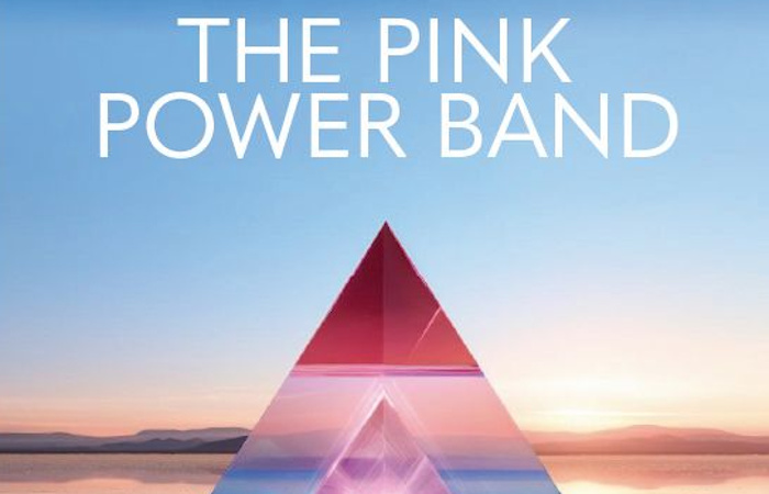 THE PINK POWER BAND